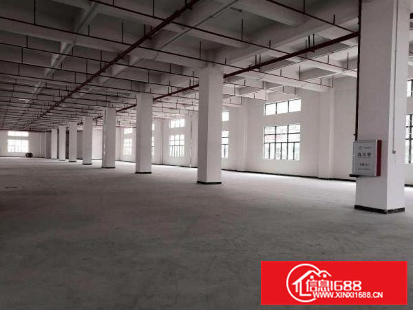 常平车站附近9成新独院厂房出租