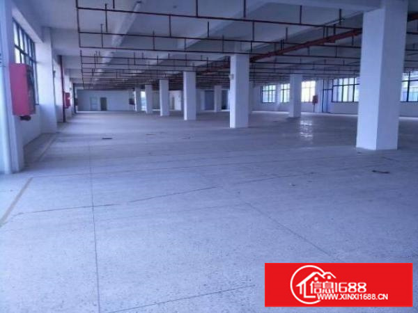 坪山区坑梓高速出口70000平工业园招租可分租