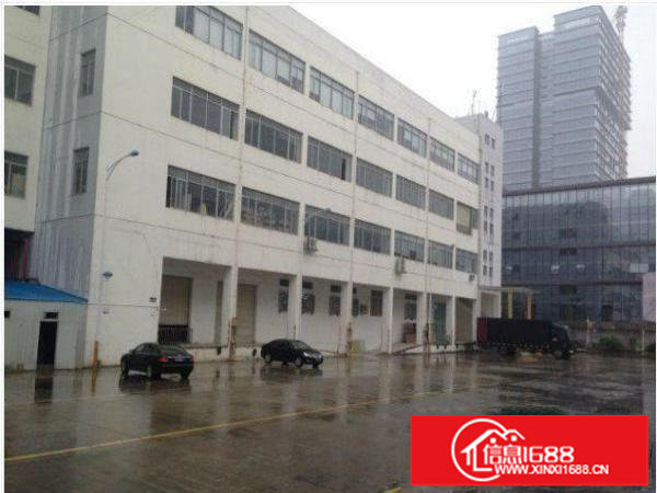 坪山大道一楼标准厂房面积900平米业主急租