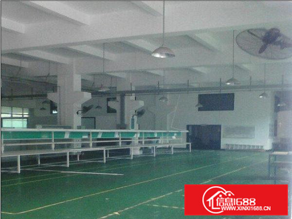 凤岗带办公楼标准厂房500-2000㎡招租