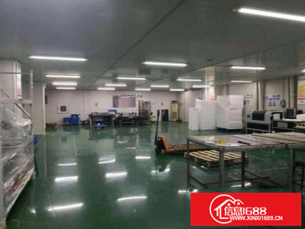 新桥新出楼上900平方厂房。带豪华装修办公室，全部精装