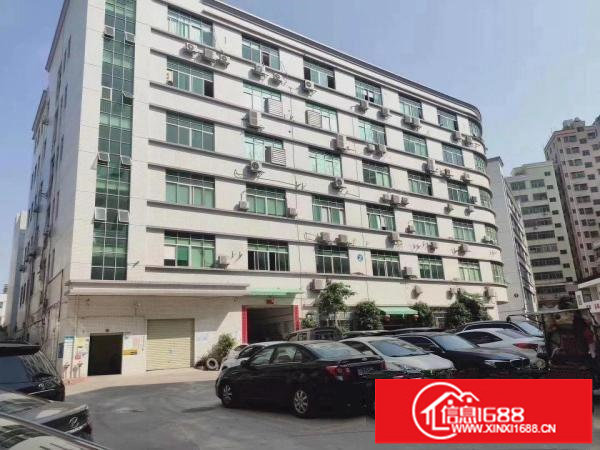 独门独院！坂田星河旁6000平独院厂房出租