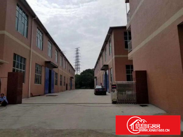 惠阳区白花全新厂房招租！大小可分租！