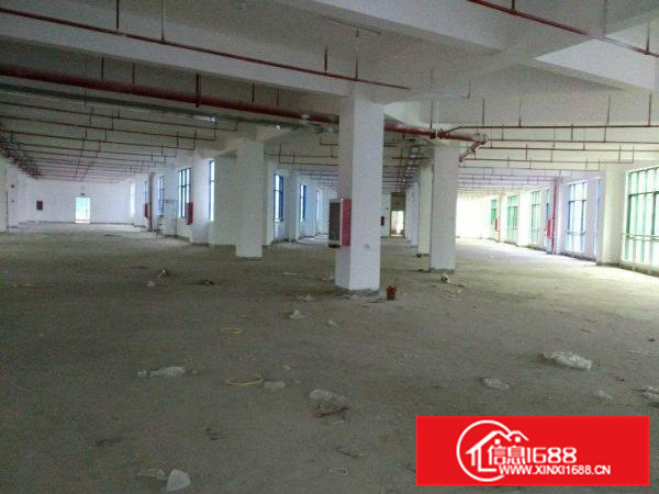 惠州市东江高新红本科技园全新四万平方厂房隆
