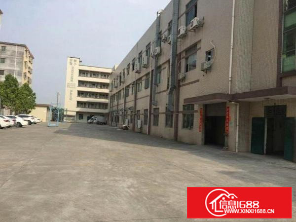 原房东独门独院钢构厂房