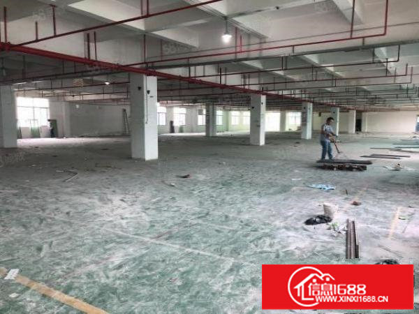 观澜福民茜坑原房东带喷淋厂房1至2层4800平可分租