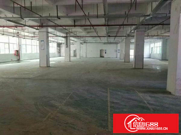 坂田厂房一楼200~2000平，适合物流电商办公等