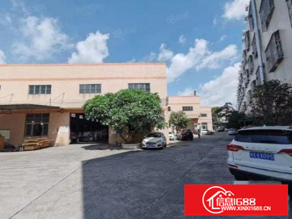 松山湖大道边新出超便宜3000平米单层铁皮房,急租