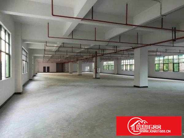 凤岗新出3800平方独院厂房火爆招租（可分租）