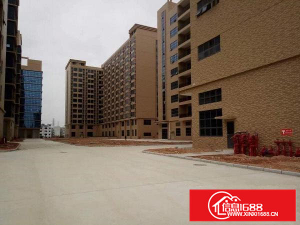 凤岗镇大型高新孵化园火热招租中)可分租）有高新补助