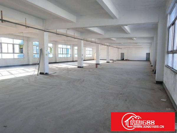 布吉上李朗带装修6米高一楼810平米厂房出租