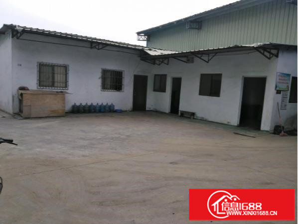 大岭山新出原房东独院钢构厂房1500平，可做污染行业