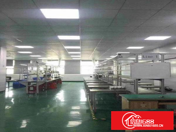 清溪新出楼上带豪华装修水电齐全办公室厂房480平出租