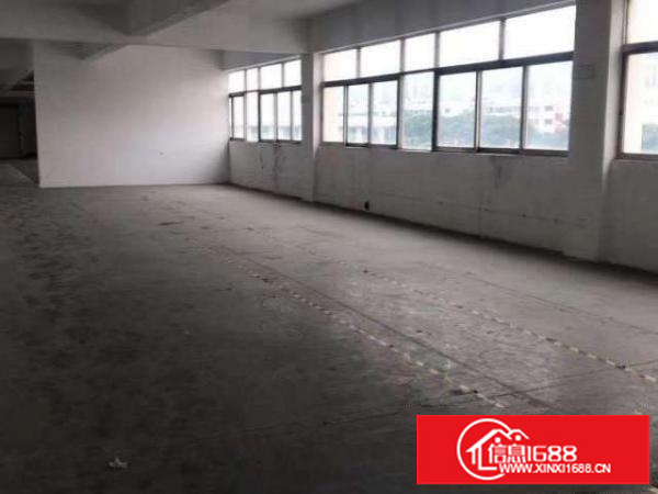 物业直租！个人免租金一个半月！西乡立交107国道天股旁