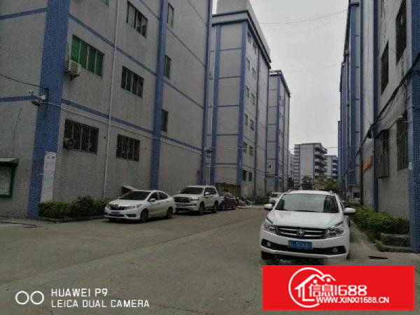 坑梓金沙原房东2楼分租1000平带喷淋送办公装修招商