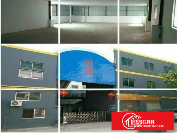 原房东，独门独院钢构带个小两层共1000平，只租16元/平！