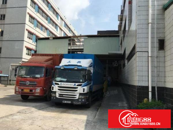 物业直租布吉丹竹头立信路一楼1000平招租（可分租）