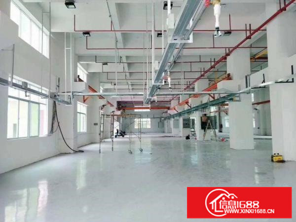 凤岗三联新出标准一楼带牛角一楼厂房2100平方。喷淋水电到位