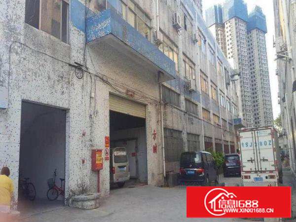 塘厦石鼓村800平米一楼标准厂房，带办公室，临石马/清湖头