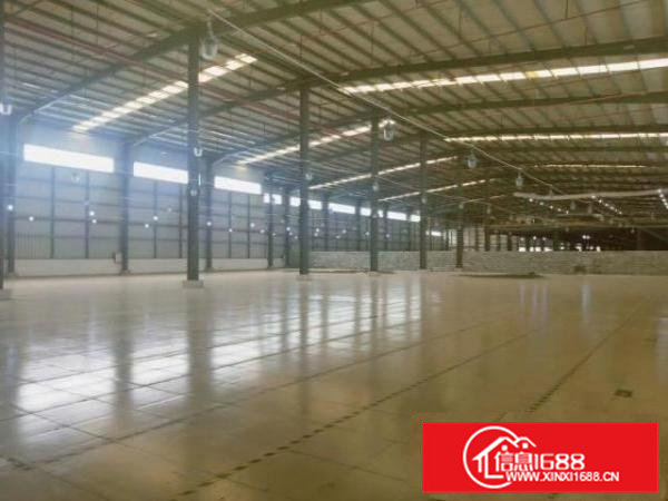 13米高4栋单一层共5000平方出租可分租