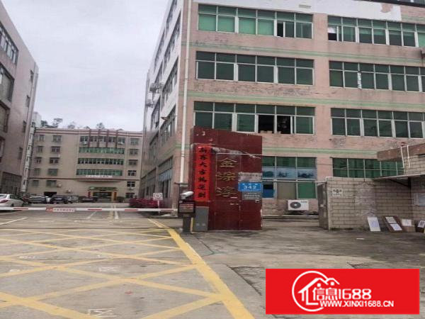 房东招租，坪山区碧岭红本标准厂房，欢迎高新科技企业