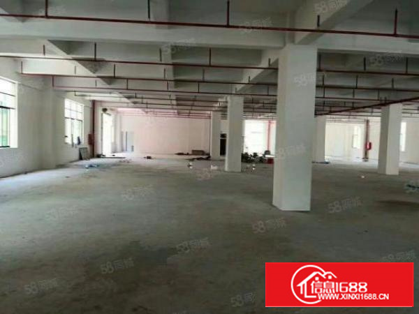 形象好的工业区1出租）金凤凰2000平米6米高1