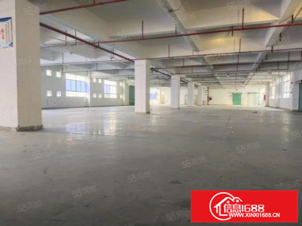 雁田布心工业区独院一楼2百5百8百1千平红本仓库厂房出租分租