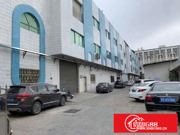 茶山镇原房东厂房一楼1680平方出租