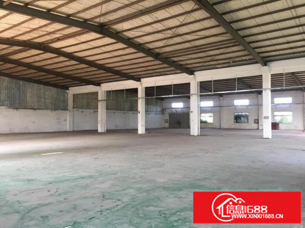 坪山石井新出钢构房550平