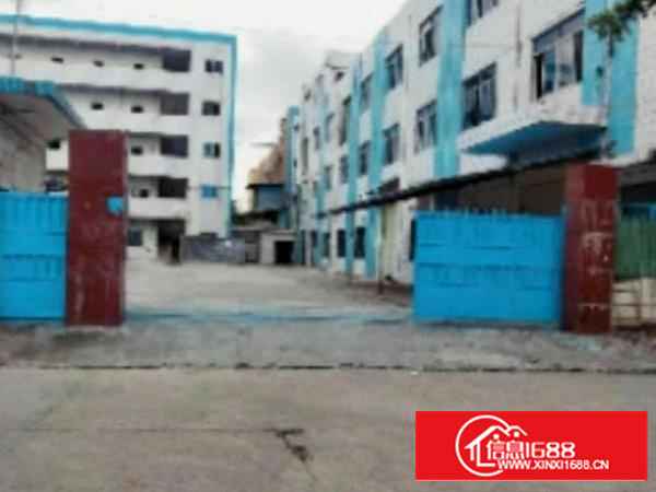 万江标准1500平方800或1000㎡出租工业区环境好