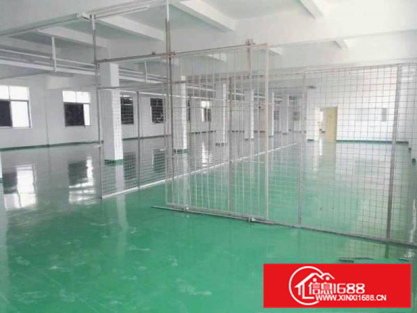 惠阳秋长白石新出楼上1900平米火爆招商