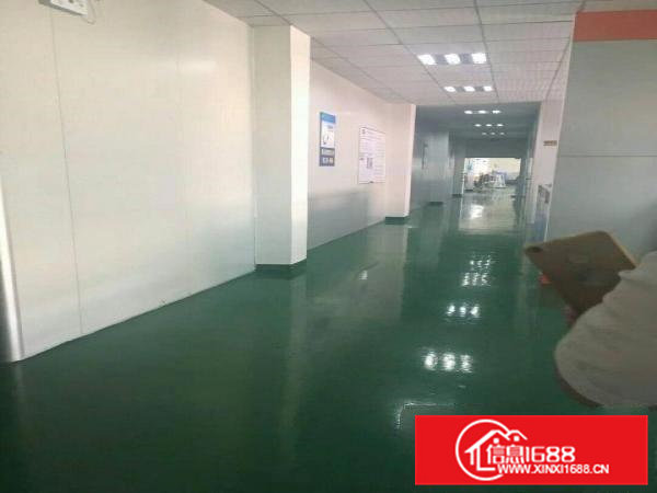 （新盘）清溪三中新出楼上厂房1400招租水电齐全