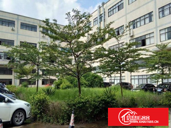 平南金时发工业园二楼带装修标准厂房350平方招租