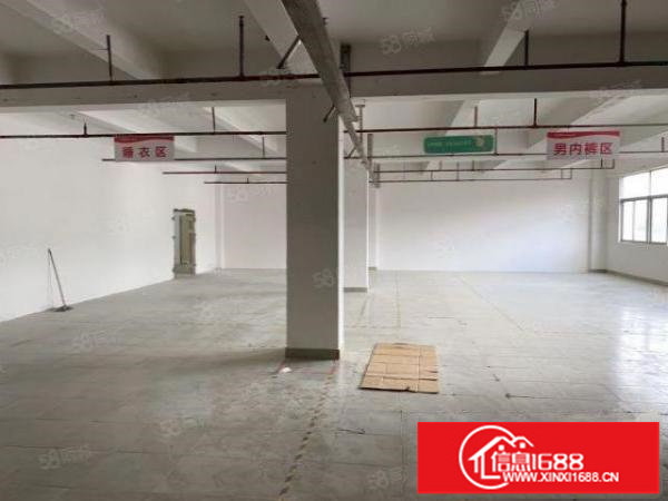 仓库招租1000平米仓库可分租