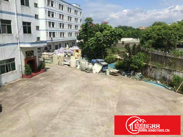 新开靓盘！坪地年丰村，带办公带电梯可分租