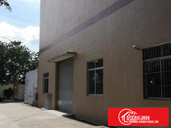 全新砖墙到顶新厂房出租