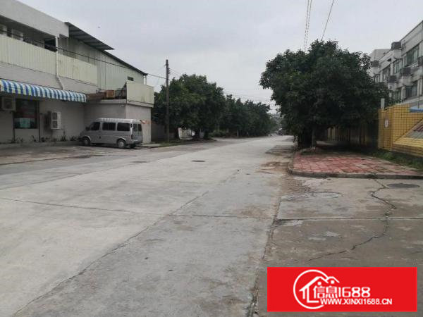 天花吊顶装饰美观，空地大，停车位充足，可随意进出大货车！！！