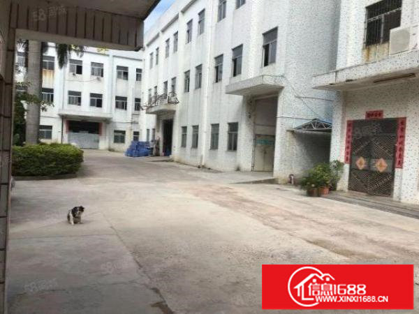 坑梓工业园分租整层一楼1700平米合适五金塑胶模具