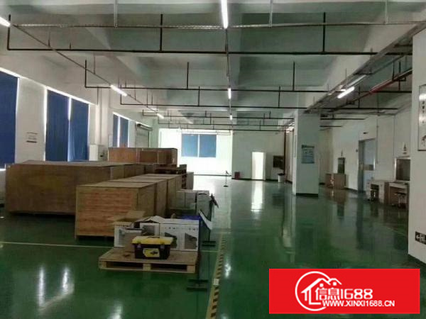 新圩刚出原房东厂房楼上2100平方零公摊