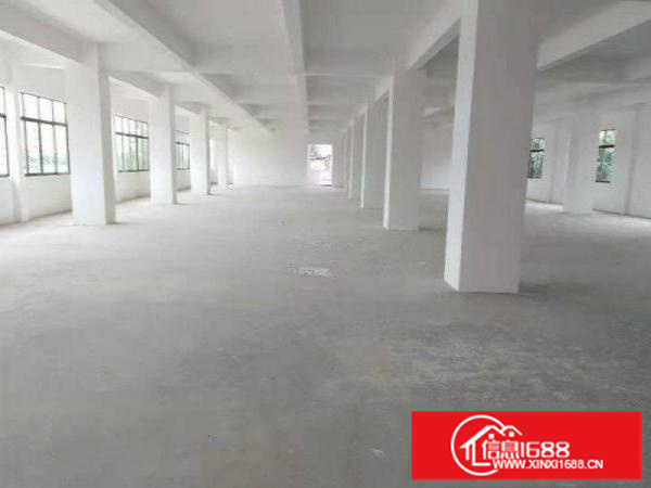 石湾全新厂房招租（可整租也可分租)