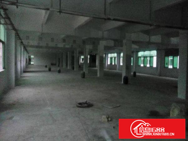 土塘单一层1500平方电子厂房招租可分租