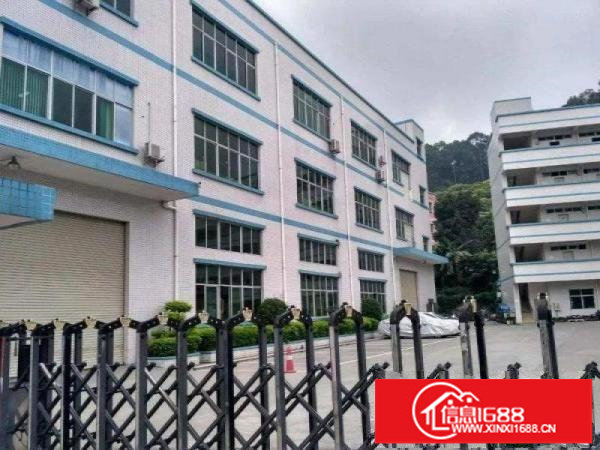 布吉独院楼上200平1200平大小面积厂房出租