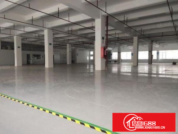 清溪三中原房东一楼2百平5百平8百平1千平仓库厂房出租可分租