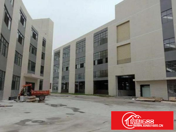 可分租有牛角位,杏坛镇全新独院15000方标准厂房