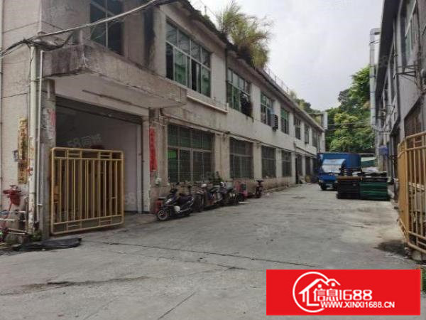 梅观高速独两层3400平方，厂房出租