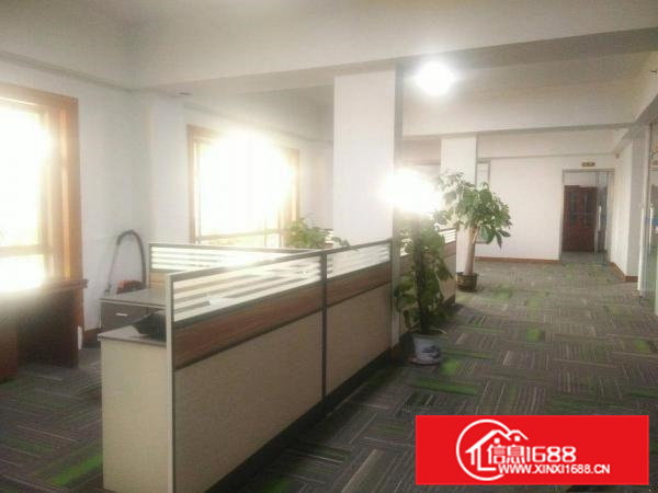 常平桥沥新出原房东900平单一层钢构厂房出租精装修办公室