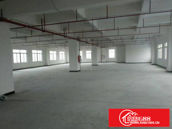出租仲恺潼侨新出全新厂方1楼整层500平米