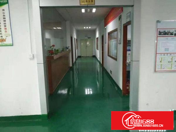 常平桥梓新出12000平方独门独院豪华装修厂房出租