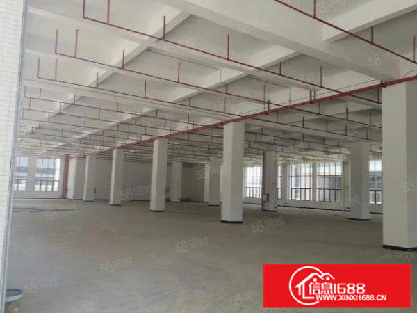 洋坑塘实业客出租一楼厂房3300平，可办环评，可分租