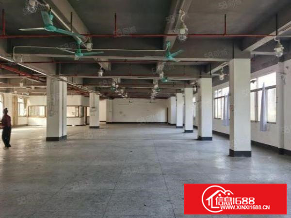 镇口新出楼上一整层950方带装修